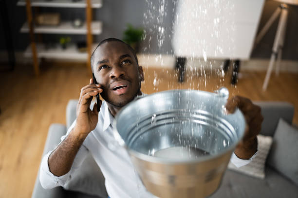 Best Carpet water damage restoration  in Bear Rocks, PA