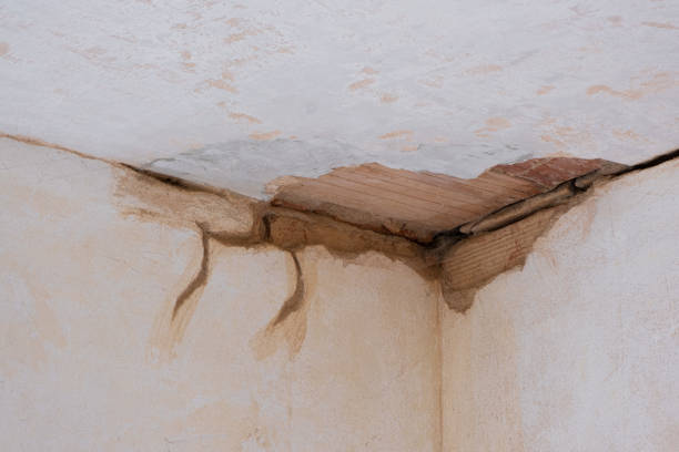 Best Ceiling water damage repair  in Bear Rocks, PA