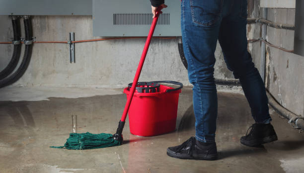 Best Flood damage cleanup  in Bear Rocks, PA
