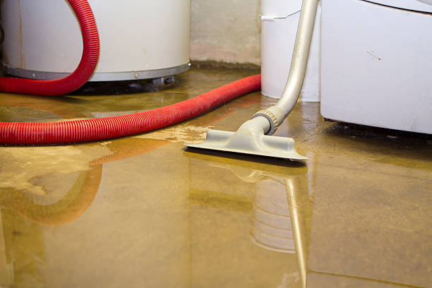Best Commercial water damage restoration  in Bear Rocks, PA