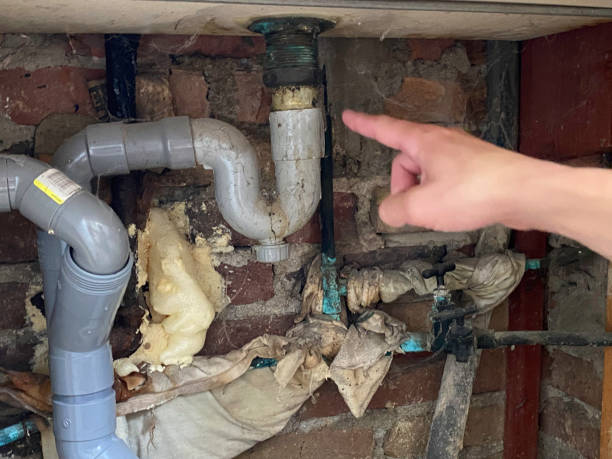 Best Water damage contractors near me  in Bear Rocks, PA