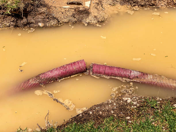 Best Water damage restoration process  in Bear Rocks, PA